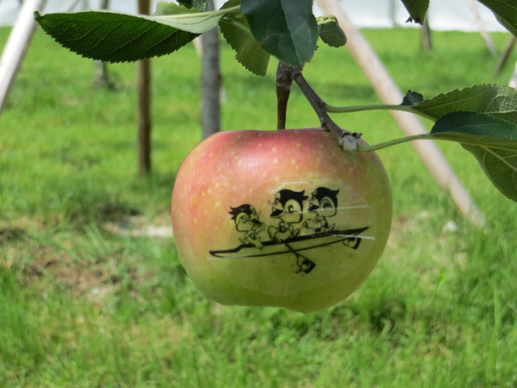 Logo Apples2 001